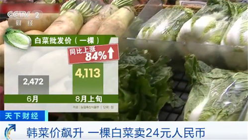 韓國民眾叫苦不迭 菜價水產品價格一路飆升，生活壓力陡增