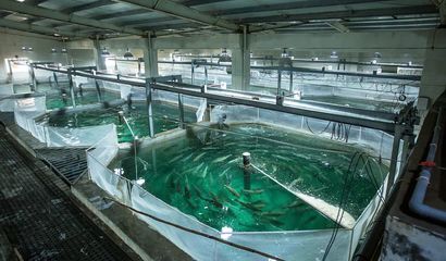 喜報！國信集團兩家水產品公司入選青島首批新經濟潛力企業