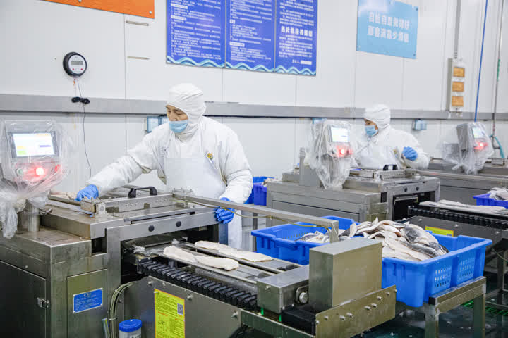 開辟綠色生命通道，海安中洋集團200噸水產食品馳援上海保供穩鏈