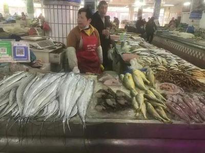 浙江水產市場現“黃金海鮮” 一斤飆至五百元，朋友圈里的價格驚嘆號