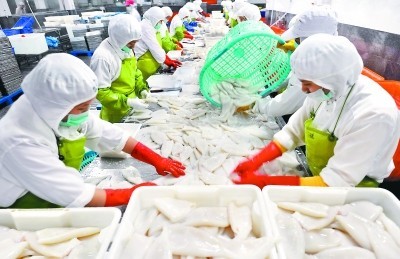 福建晉江水產加工出口快速增長，加工貿易成發展新引擎