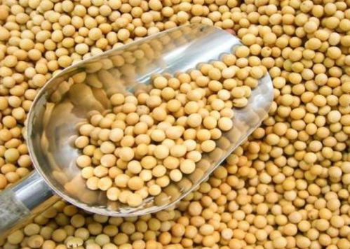 寧波進口食品排行榜揭曉 水產品榮登榜首，吃貨最愛一覽